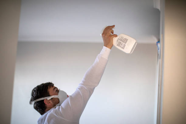 Best Mold Removal Company Near Me  in Manchester, MI