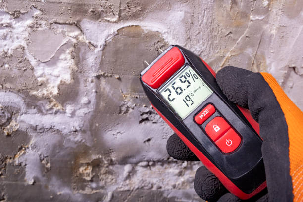 Home Mold Removal in Manchester, MI