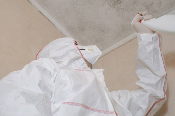 Water Damage Restoration in Manchester, MI